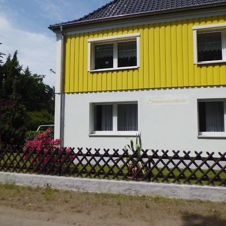 Ferienwohnung Im Haus Sonnenschein Beim Senftenberger See Hosena Eksteriør billede