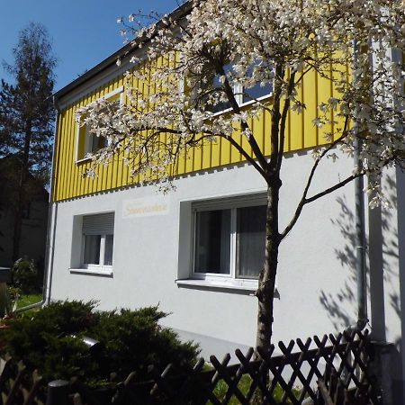 Ferienwohnung Im Haus Sonnenschein Beim Senftenberger See Hosena Eksteriør billede