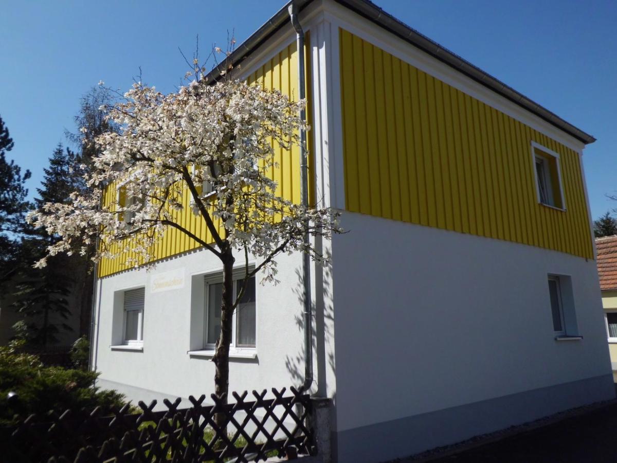 Ferienwohnung Im Haus Sonnenschein Beim Senftenberger See Hosena Eksteriør billede